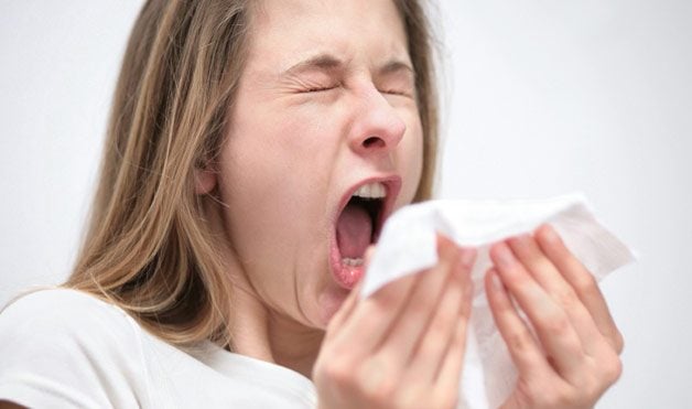 Descubra do que é feito o catarro, a cera do ouvido e outros fluídos do nosso corpo