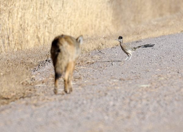 Imagem: Getty Images