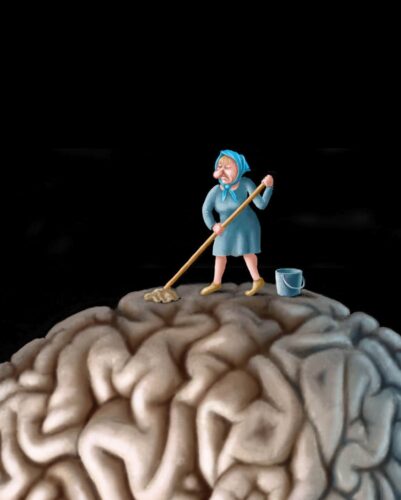 cartoonstockpic of brain