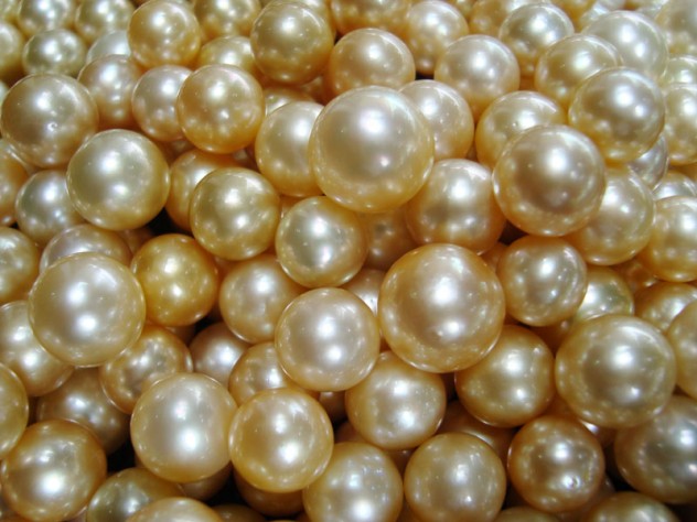 cultured-golden-pearls1-e1375411017164