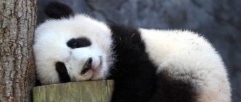 9 coisas que seu corpo faz enquanto você dorme