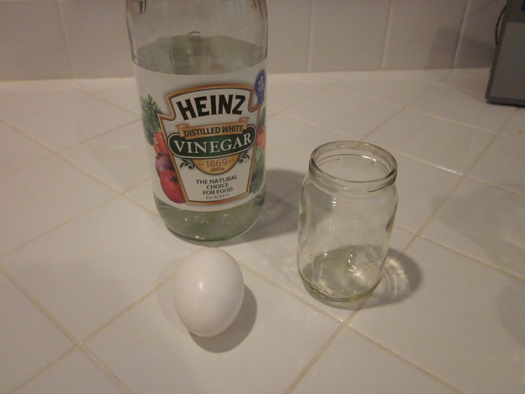 O que acontece se você colocar um ovo dentro de um copo com vinagre?