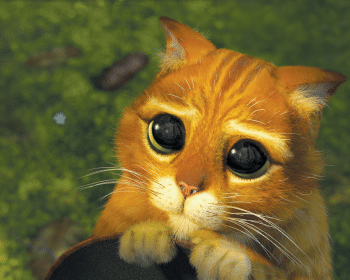6 mitos sobre animais que você sempre acreditou