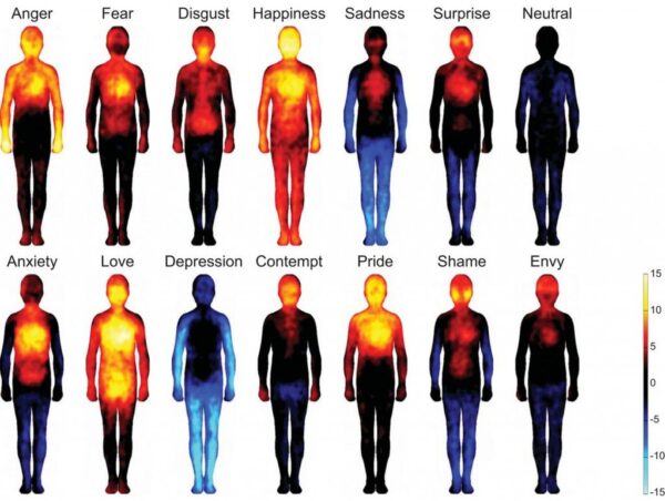 Heat-Map-Shows-Where-You-Feel-Emotions-in-Your-Body
