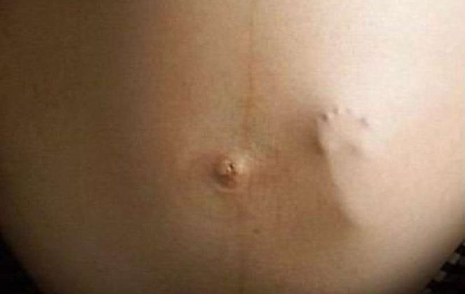 12 imagens completamente falsas em que você acreditou