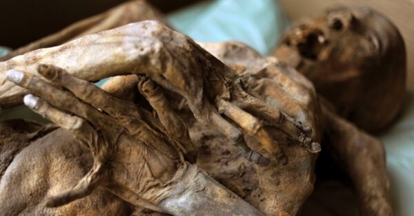 5ago2012---museu-hungaro-de-historia-natural-mostra-uma-das-265-mumias-preservadas-em-caixa-em-budapeste-hungria-1344169599943_956x500