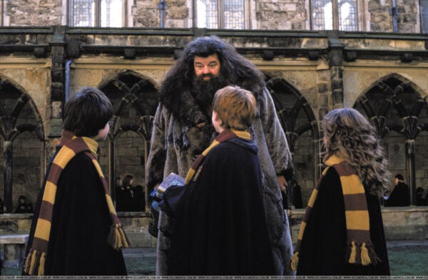 Hagrid-and-the-Trio-hogwarts-professors-7658723-2008-1316