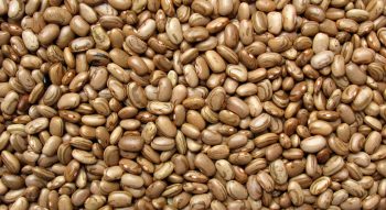 7 produtos venenosos que comemos (quase) todo dia