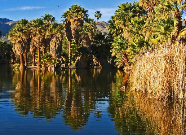 Agua-Caliente-Arizona