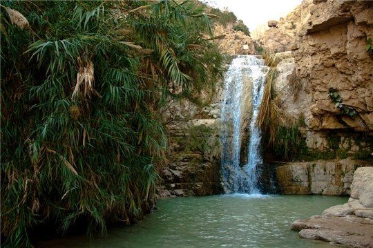 ein-gedi-8