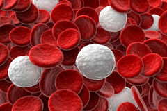 glóbulos-vermelhos-e-brancos-48753418