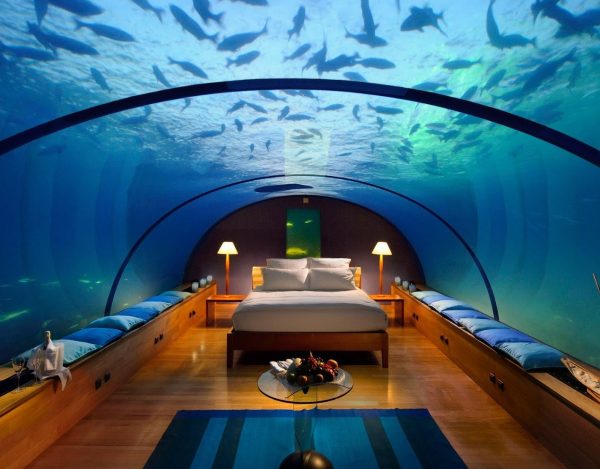 new-house-aquarium-with-bill-gates-house-aquarium-awesome-underwater-aquarium