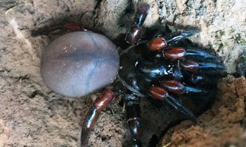 5 coisas que você achava que eram totalmente naturais e na verdade não são