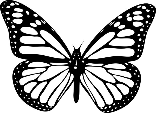 borboleta-decorativa