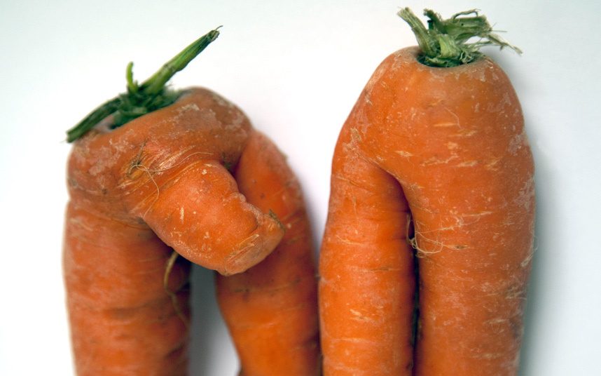 7 vegetais que vão enganar completamente a sua mente