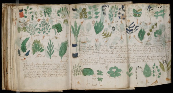 Voynich-Manuscript