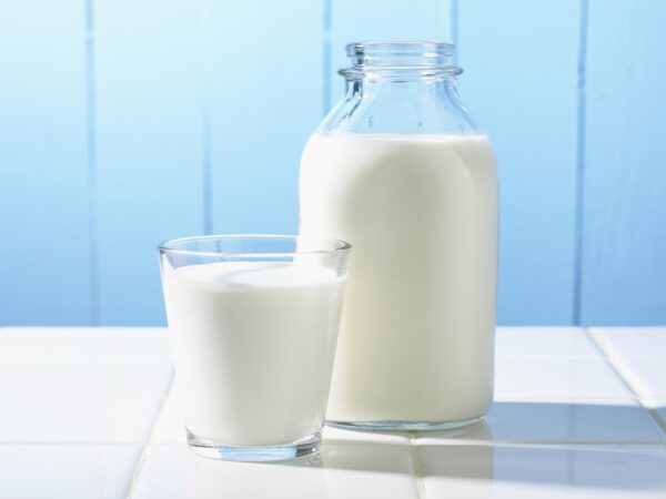 10-curiosidades-sobre-o-leite-que-você-não-sabia
