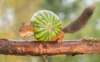 9 coisas interessantes que quase ninguém chega a ver na vida