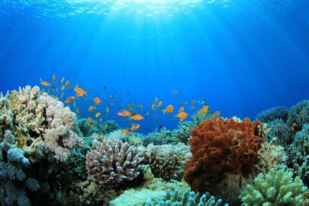 10 coisas assustadoras que foram descobertas no fundo do mar
