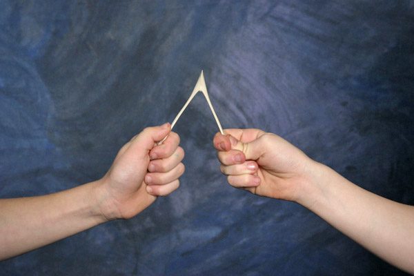 46747960-surprising-ideas-wishbone