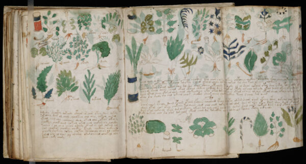 Voynich-Manuscript (1)