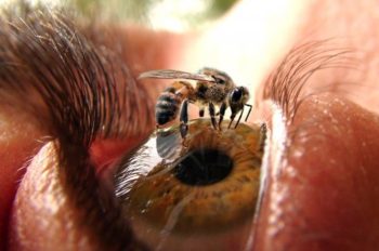 7 fotos muito perturbadoras que irão chocar você