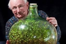 Esse homem colocou uma planta num recipiente de vidro em 1972 e o que ele conseguiu foi algo formidável