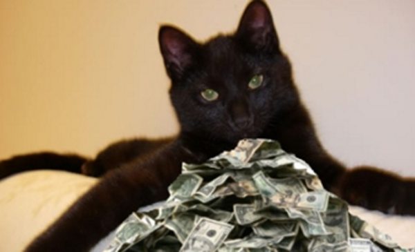 Worlds-richest-cat