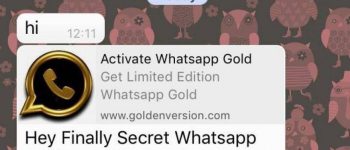 O que é “Whats App Gold”?