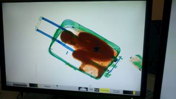 9 coisas absurdas que passageiros tentaram levar em aviões