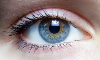 5 cores de olhos mais exóticas e lindas do mundo