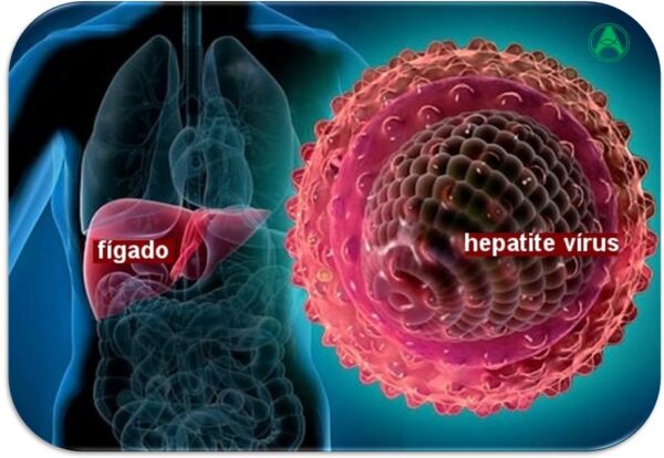 hepatite-2
