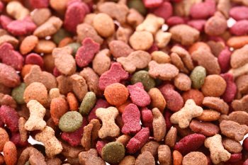 O que acontece se você começar a comer ração de animais?
