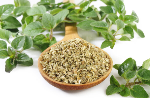Dried oregano leaves on wooden spoon