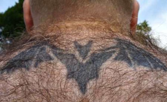 As zonas com pelos e as tatuagens1