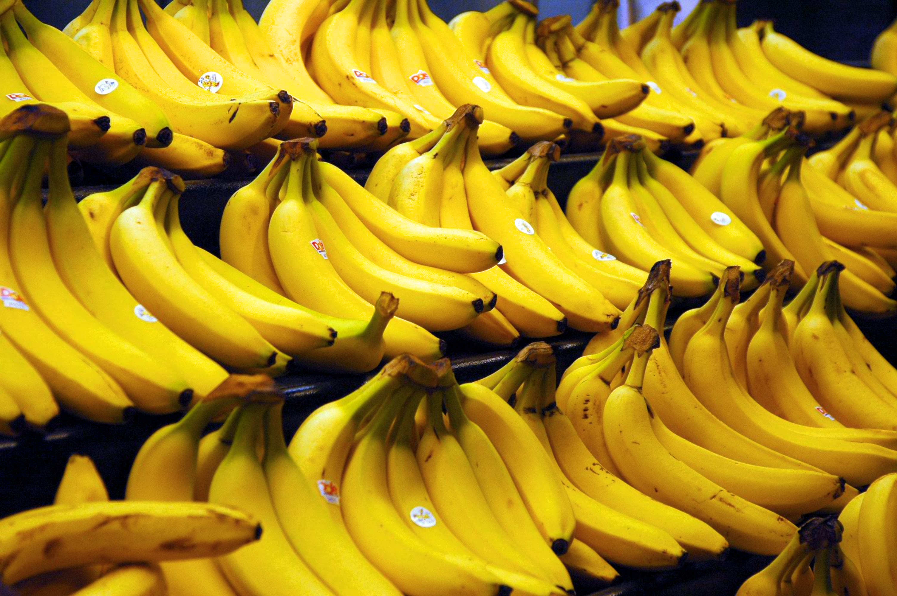 O que acontece se você comer 2 bananas todos os dias?
