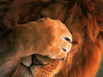 10 situações constrangedoras que todo mundo já passou na vida