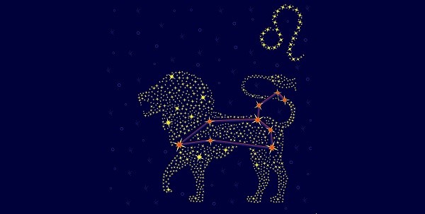 Zodiac sign Leo on a background of the starry sky with the scheme of stars in the constellation vector illustration