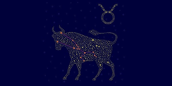 Zodiac sign Taurus on a background of the starry sky with the scheme of stars in the constellation vector illustration