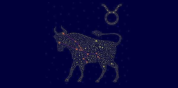 Zodiac sign Taurus on a background of the starry sky with the scheme of stars in the constellation vector illustration