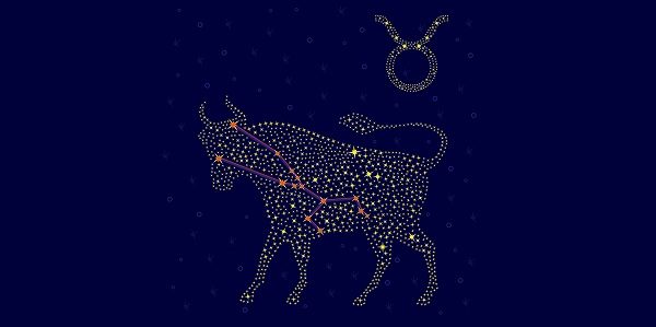 Zodiac sign Taurus on a background of the starry sky with the scheme of stars in the constellation vector illustration