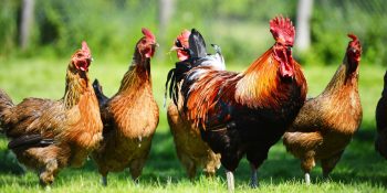 7 descobertas mais estranhas da ciência moderna