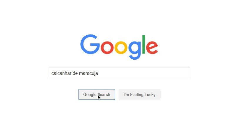 7 coisas que você jamais deve pesquisar no Google se quiser dormir em paz