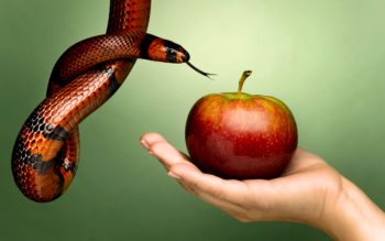 10 números sobre pornografia que te darão uma nova visão sobre o mundo