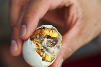 8 alimentos bizarros consumidos ao redor do mundo