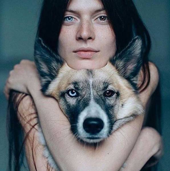 20 imagens de pessoas e animais com heterocromia