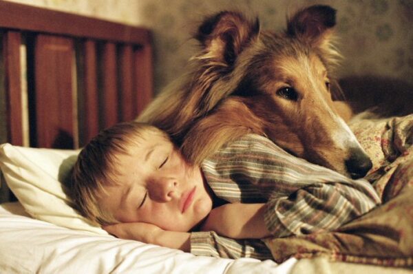 lassie_and_joe-os-10-melhores-filmes-com-cachorros