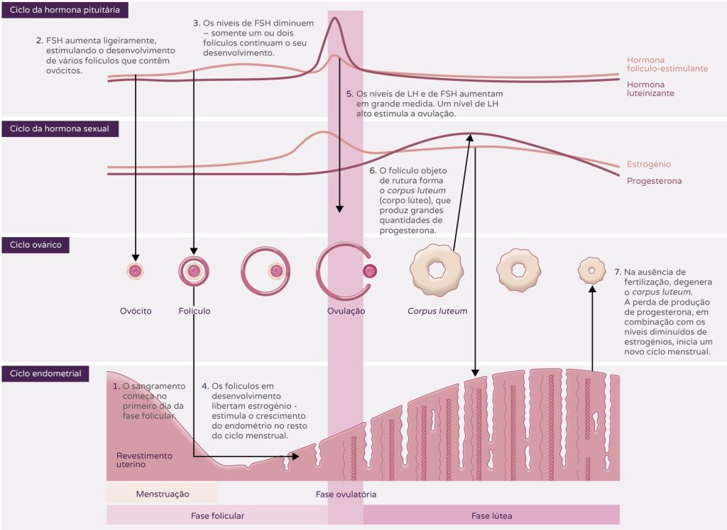 SOS Dr - As alterações na cor do sangue da menstruação são normais, pois  representam cada fase do ciclo. Porém, caso você apresente sangue menstrual  aguado acinzentado, rosado ou alaranjado, é importante