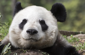 11 coisas que só quem é muito criativo vai entender