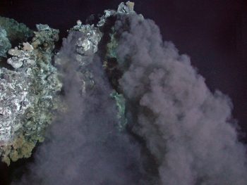 Conheça LUCA, o ancestral comum a todos os seres vivos